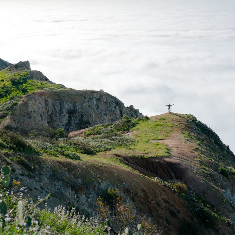 About - Catalina Island Conservancy