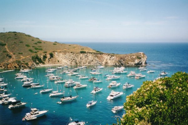 Catalina Island Conservancy Membership – Join Today