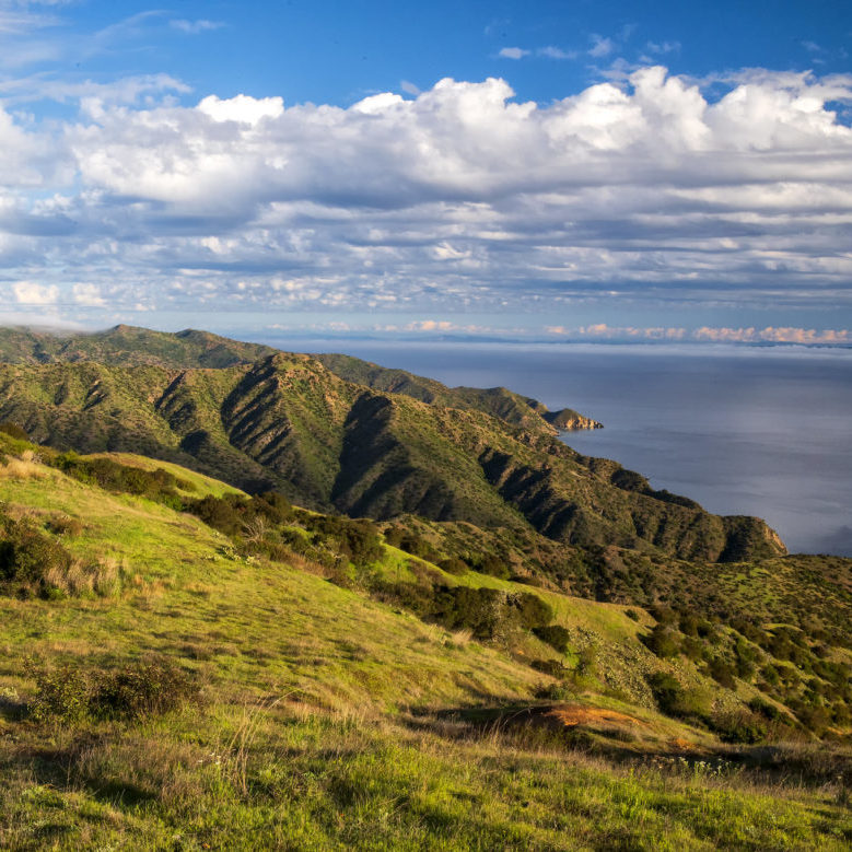 Our Story - Catalina Island Conservancy