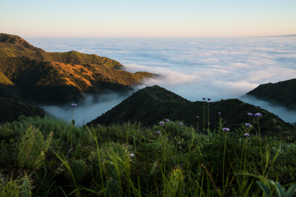 mountain peak view of catalina island