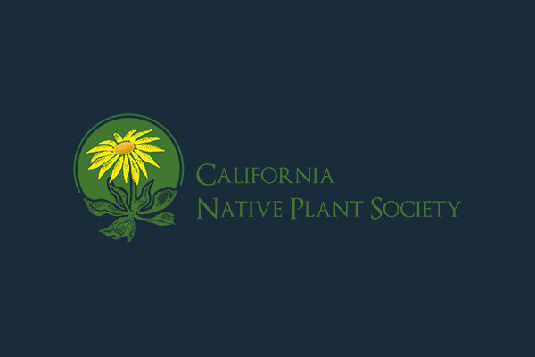 Rare Plant Monitoring - Catalina Island Conservancy