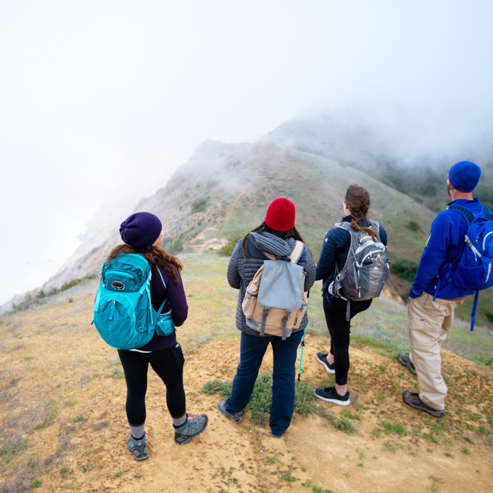 a group of catalina island employees on the island