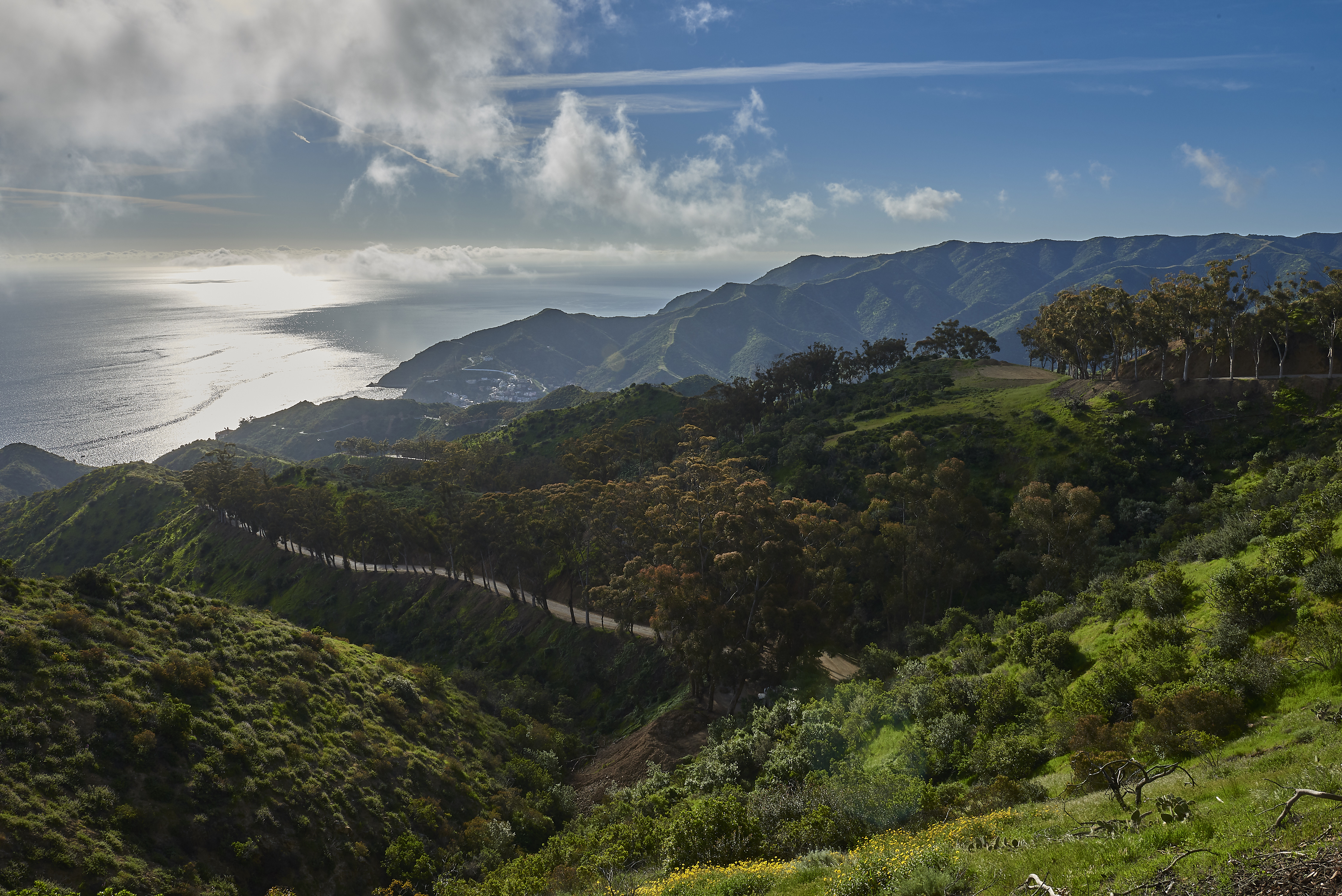 Looking to the Future Catalina Island Conservancy