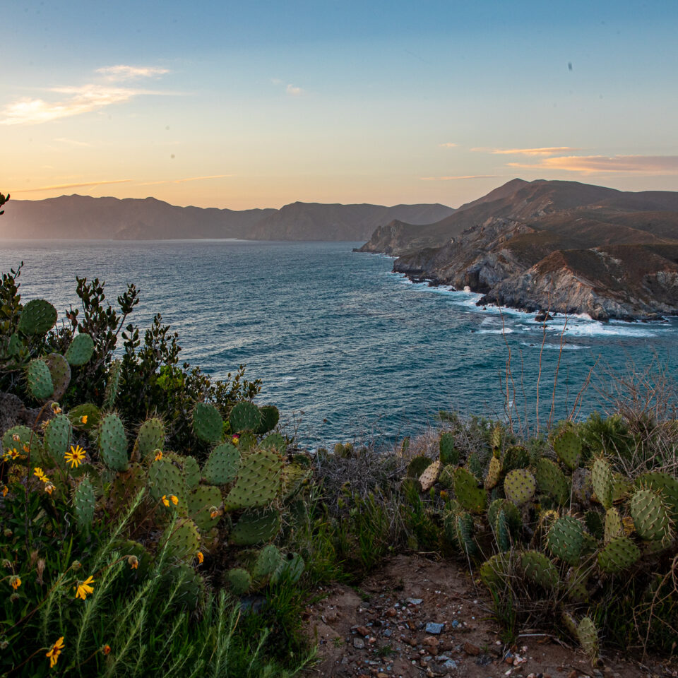 Leadership Circle - Catalina Island Conservancy