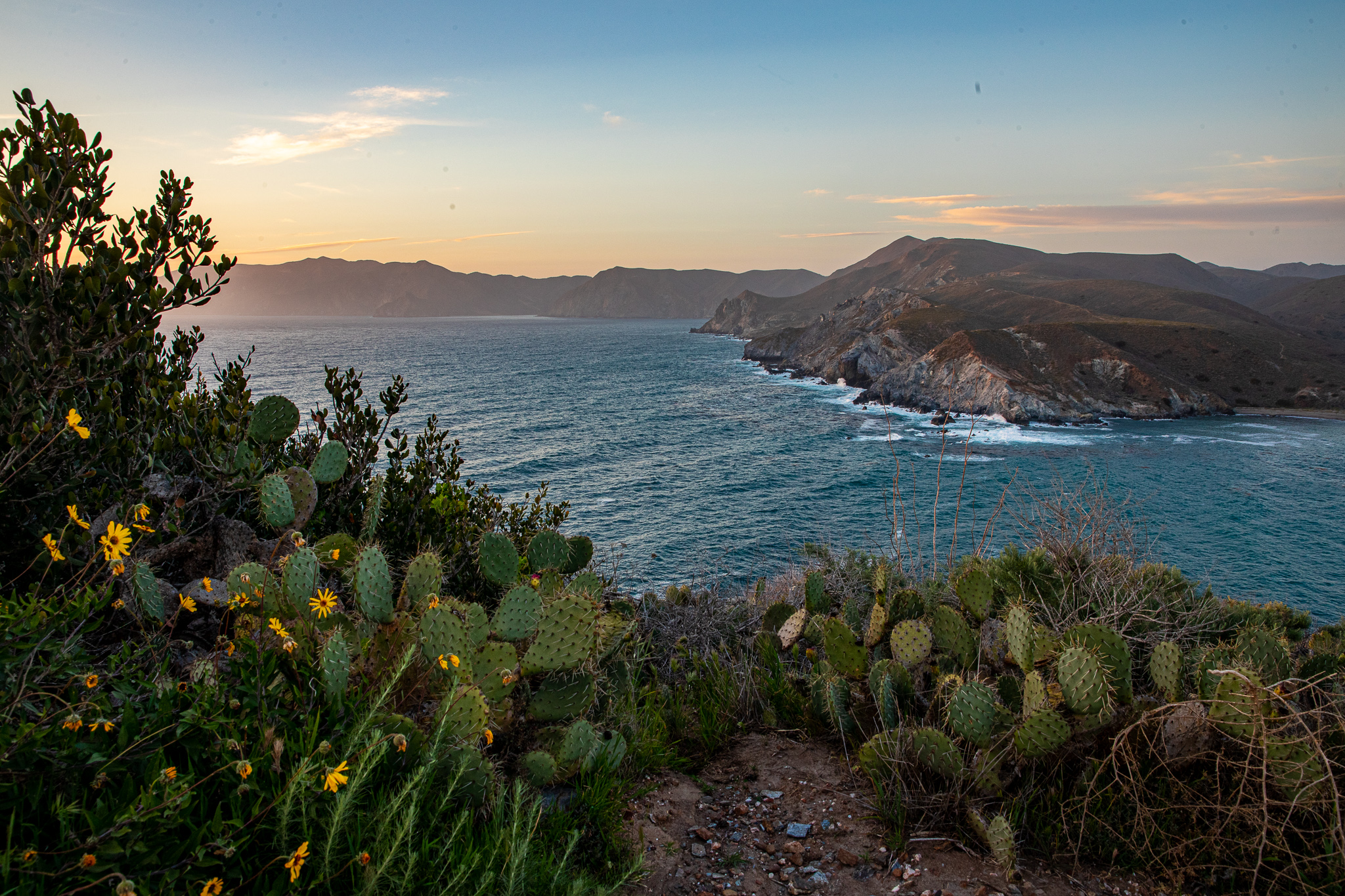 10th California Islands Symposium Catalina Island Conservancy