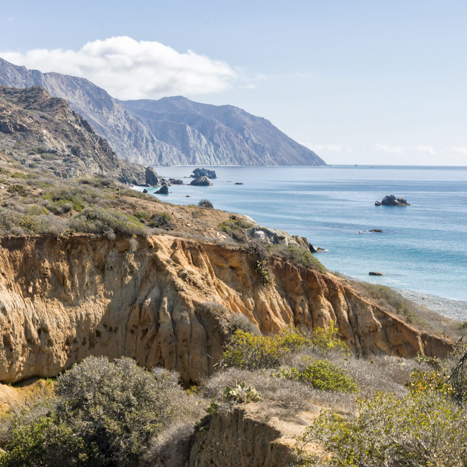 Restoration Project - Catalina Island Conservancy