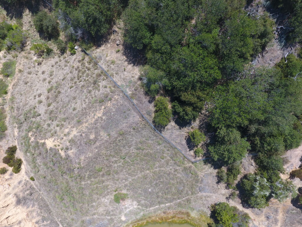 Fenced restoration area showing larger trees in the fenced area.