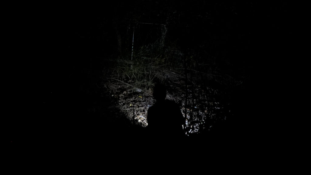 Dark night with flashlight for bat survey