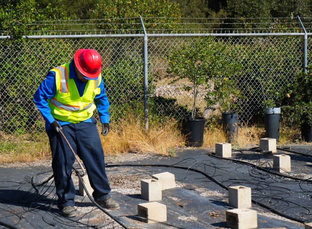 CCLB6 - Catalina Island Conservancy CCLB supports Conservancy on Catalina