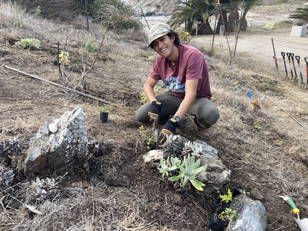 man with dudleya which is at risk of poaching