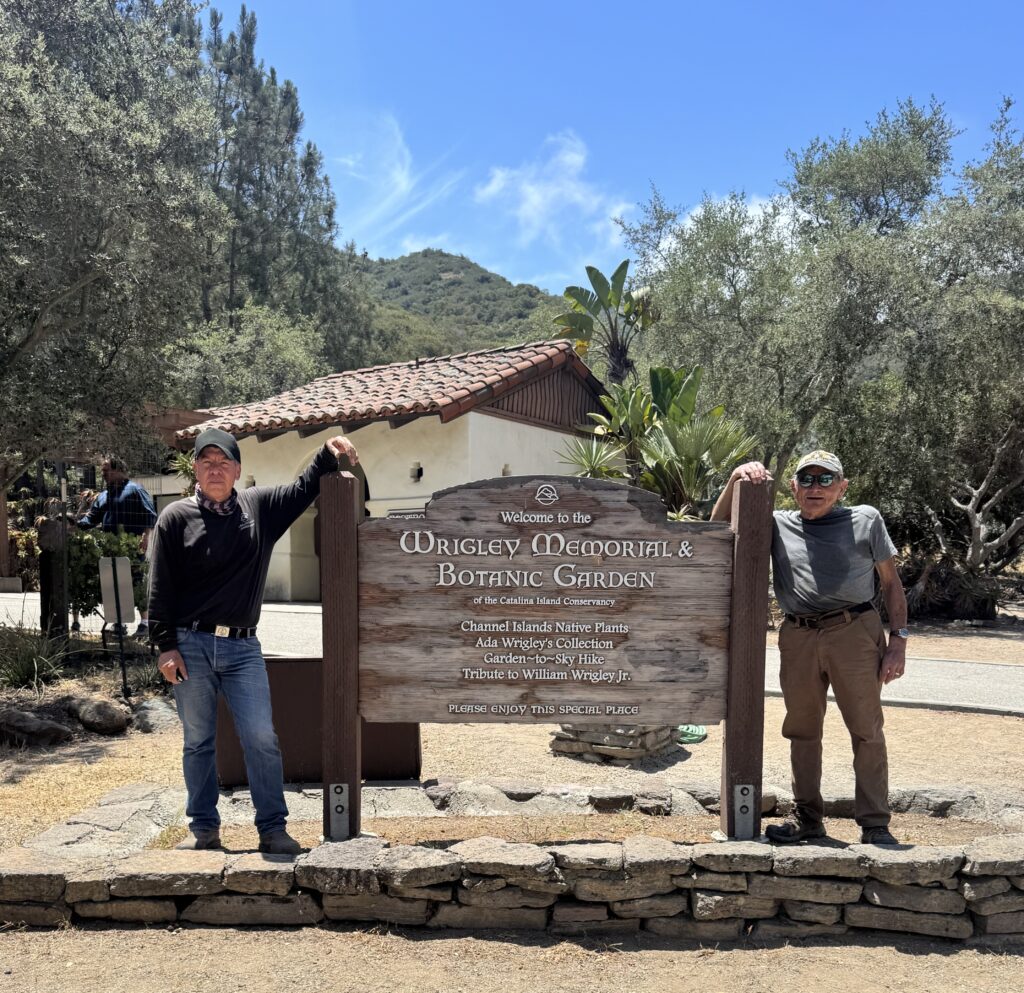Volunteer at Catalina Island