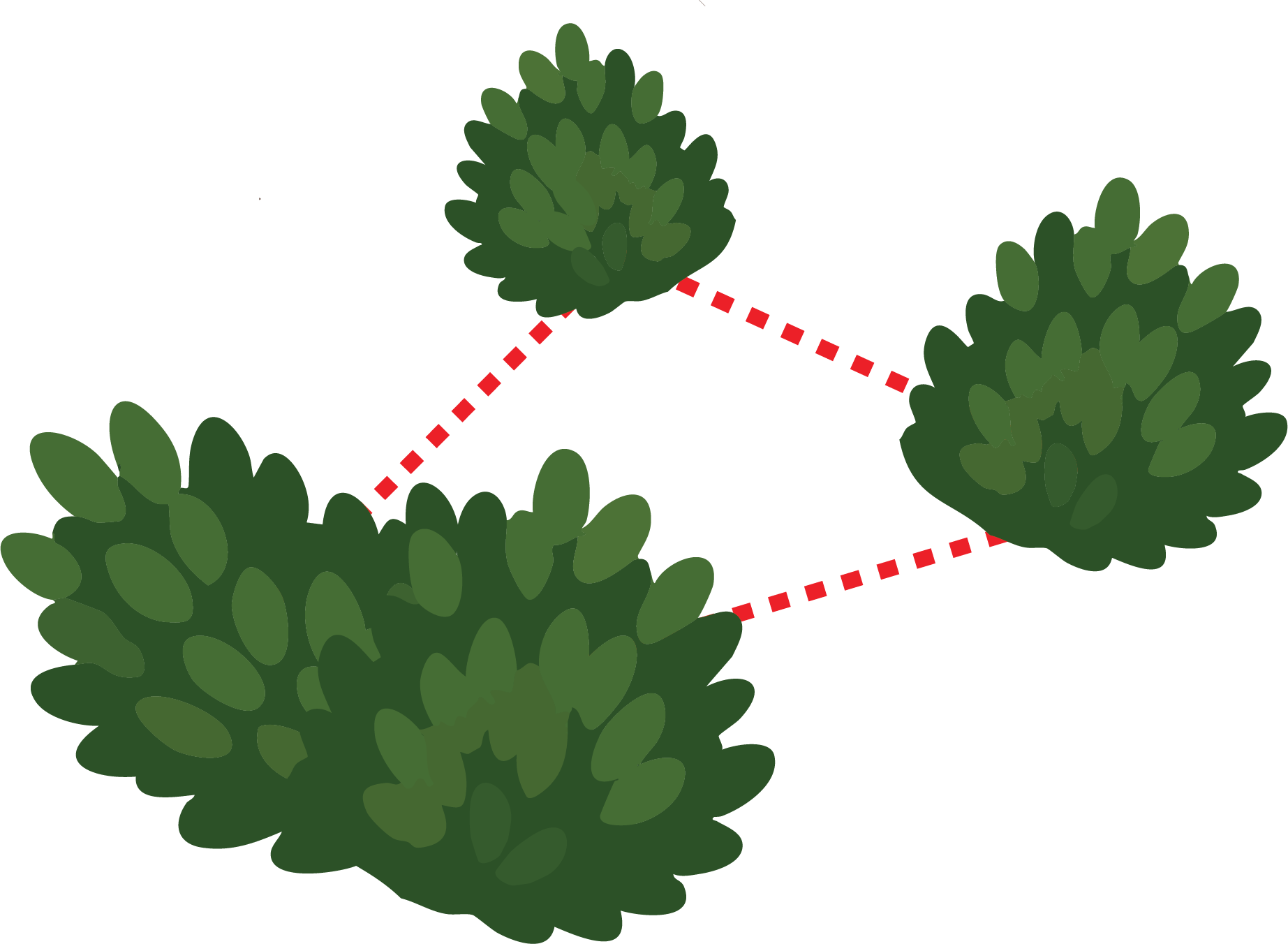 Natural Firebreak