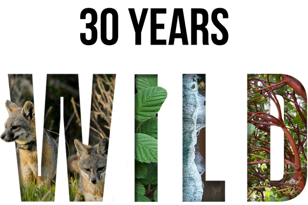 30th Annual Catalina Island Conservancy Ball