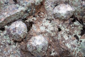 Indigenous cultural spot