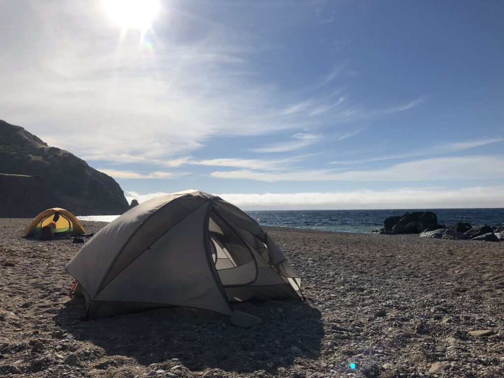 Photo Jun 10 5 38 56 PM - Catalina Island Conservancy