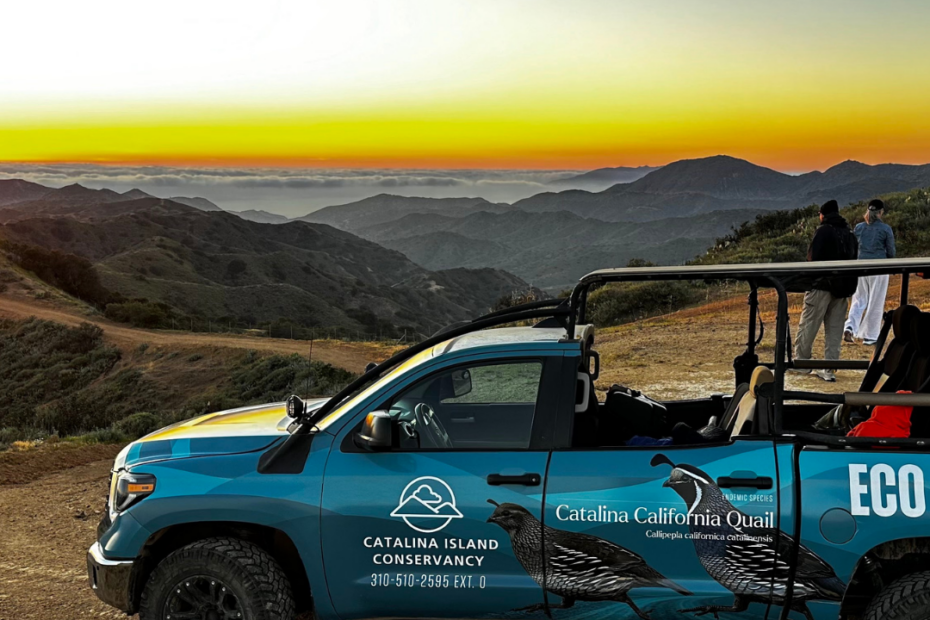 Blue eco-friendly tour truck with Catalina Island Conservancy branding and bird artwork parked on a dirt overlook at sunset over rolling mountains.