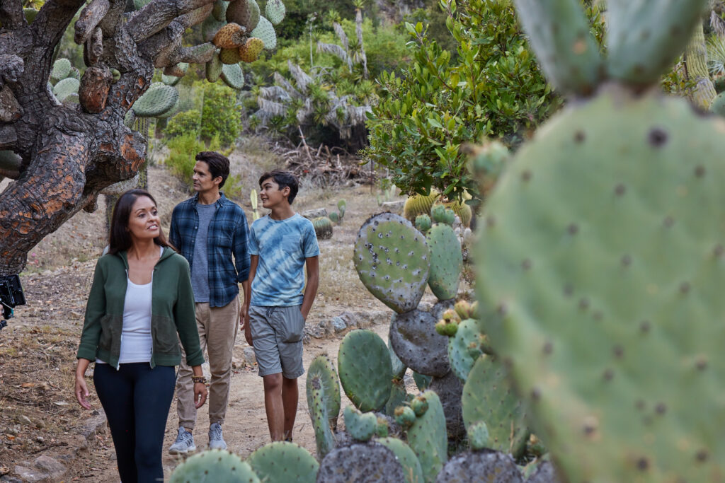 Three people walk along a dirt path among large prickly pear cacti in a dry, rocky landscape.