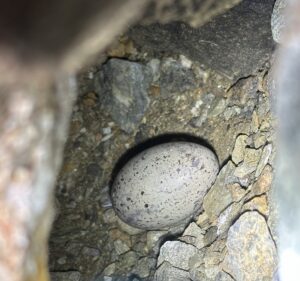 Close-up of a rocky crevice with rough, dark stones and a smooth grey pebble nestled among rubble.