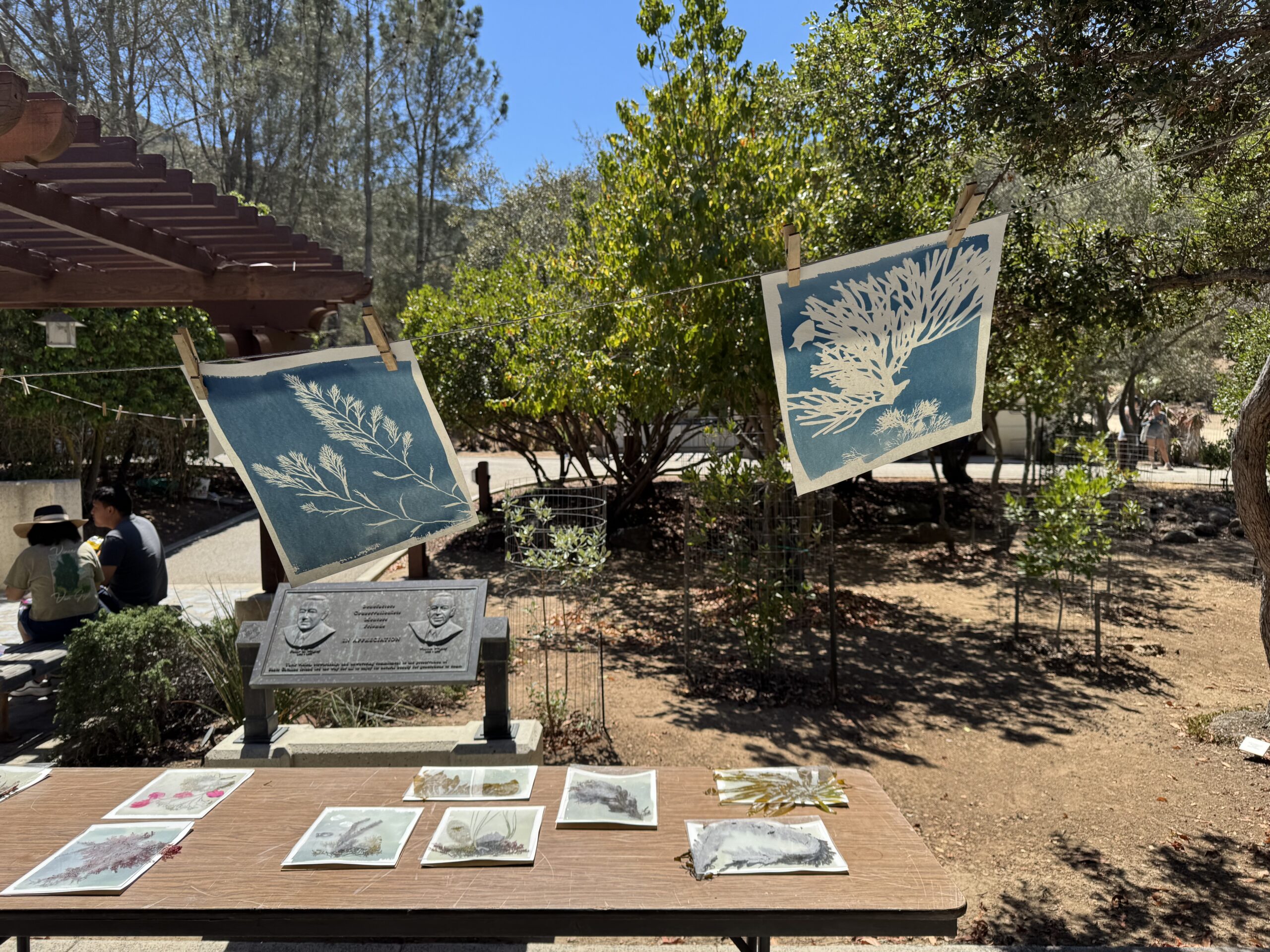 Outdoor display of blue botanical prints hanging on a clothesline, with visitors seated at left and a memorial plaque in the foreground.