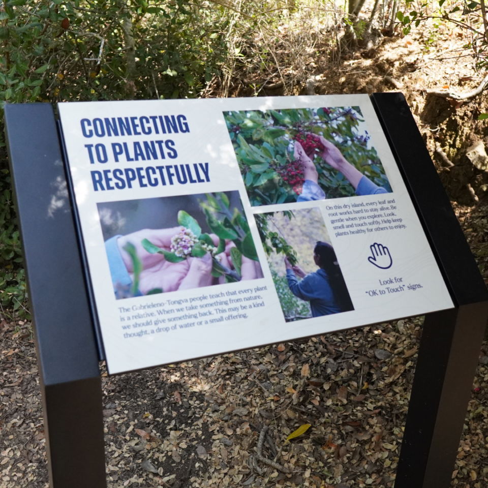 Outdoor sign with the title 'CONNECTING TO PLANTS RESPECTFULLY' showing close‑up of hands picking berries on the right and a person reaching for plants on the bottom right among plants and leaves.