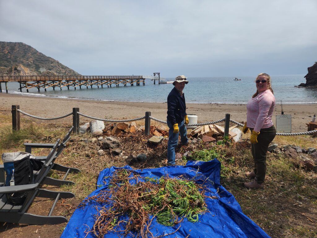 Two people stand on a sandy beach near a blue tarp and pile of branches, with a wooden pier extending into the sea in the background.