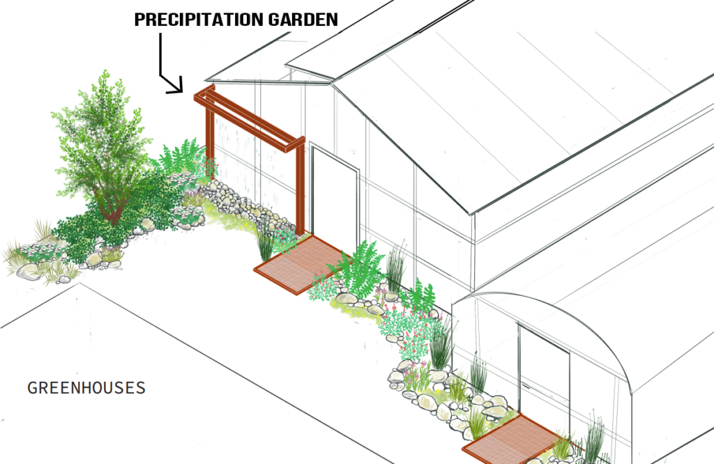 Greenhouse and Seep Garden 3 - Catalina Island Conservancy Isometric drawing of two greenhouses with a precipitation garden near the left entrance, featuring rock borders, lush plants, and wooden entry mats.