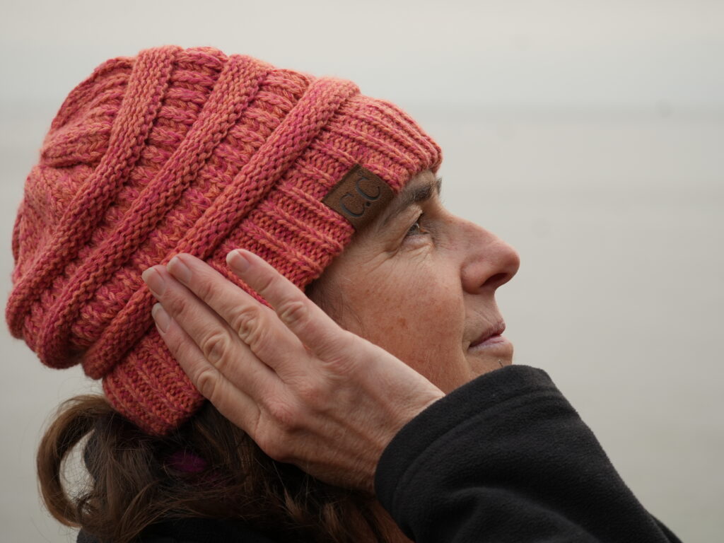 Conservancy employee listens for birds on Catalina Island