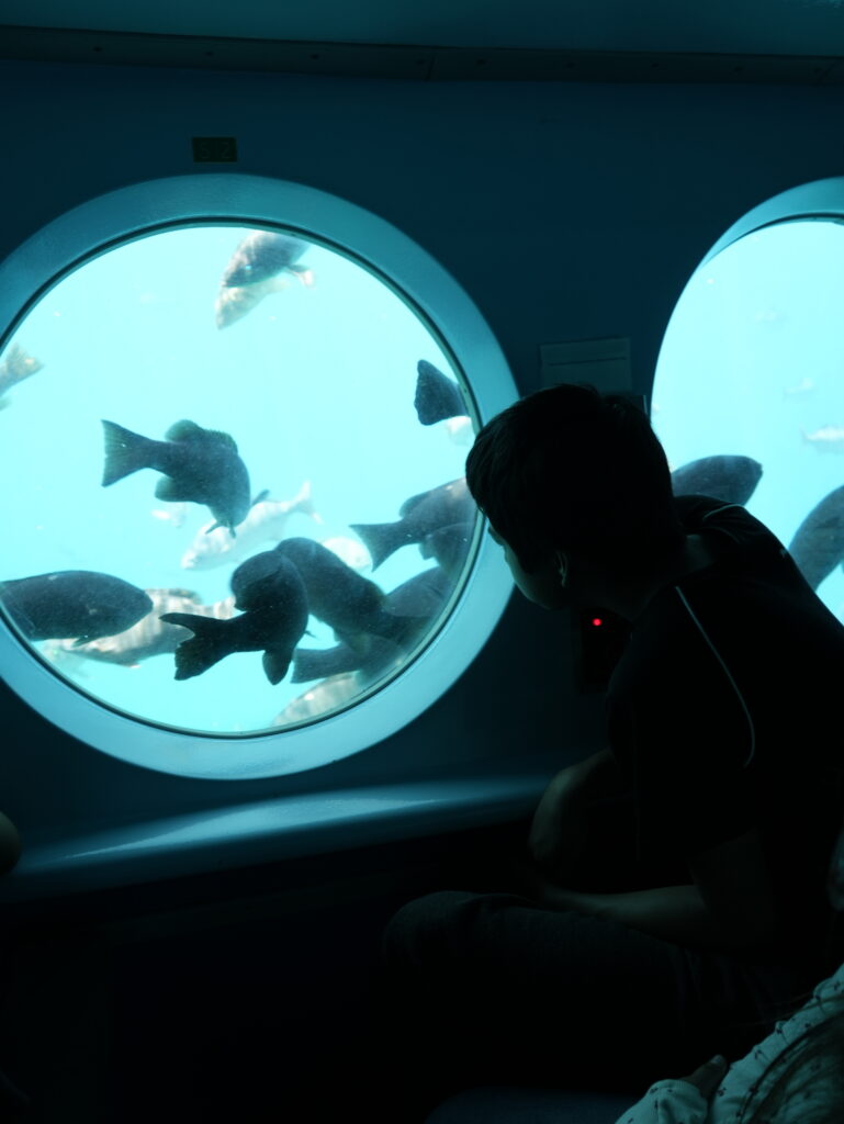 student on Catalina looks at fish underwater
