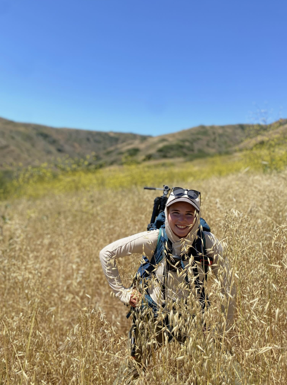 Bald Eagle Excursion in Catalina’s Wildlands