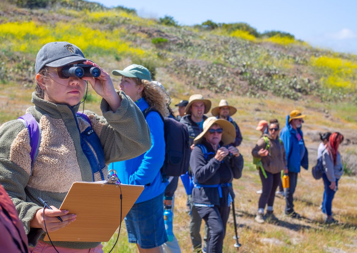 Hiker using binoculars at the front of a line of people on a sunny nature hike, clipboard in hand.