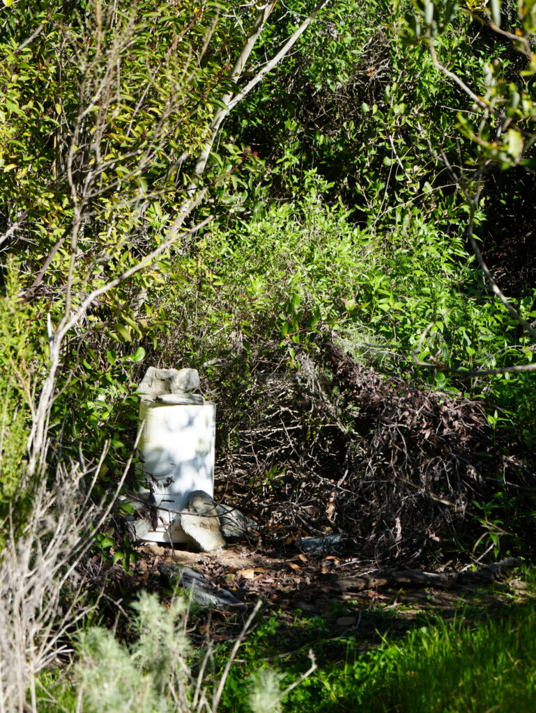 Dense green bushes and shrubs with a white cylindrical barrel partially visible at ground level.