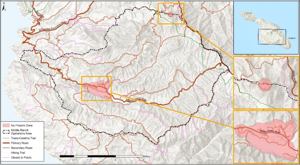 Topographic Catalina map showing no-firearm zones (pink), Middle Ranch Operations (dashed black), Trans-Catalina Trail (green), roads (orange primary, brown secondary), hiking trails (pink), and closed-to-public areas (purple) with insets for Avalon region.